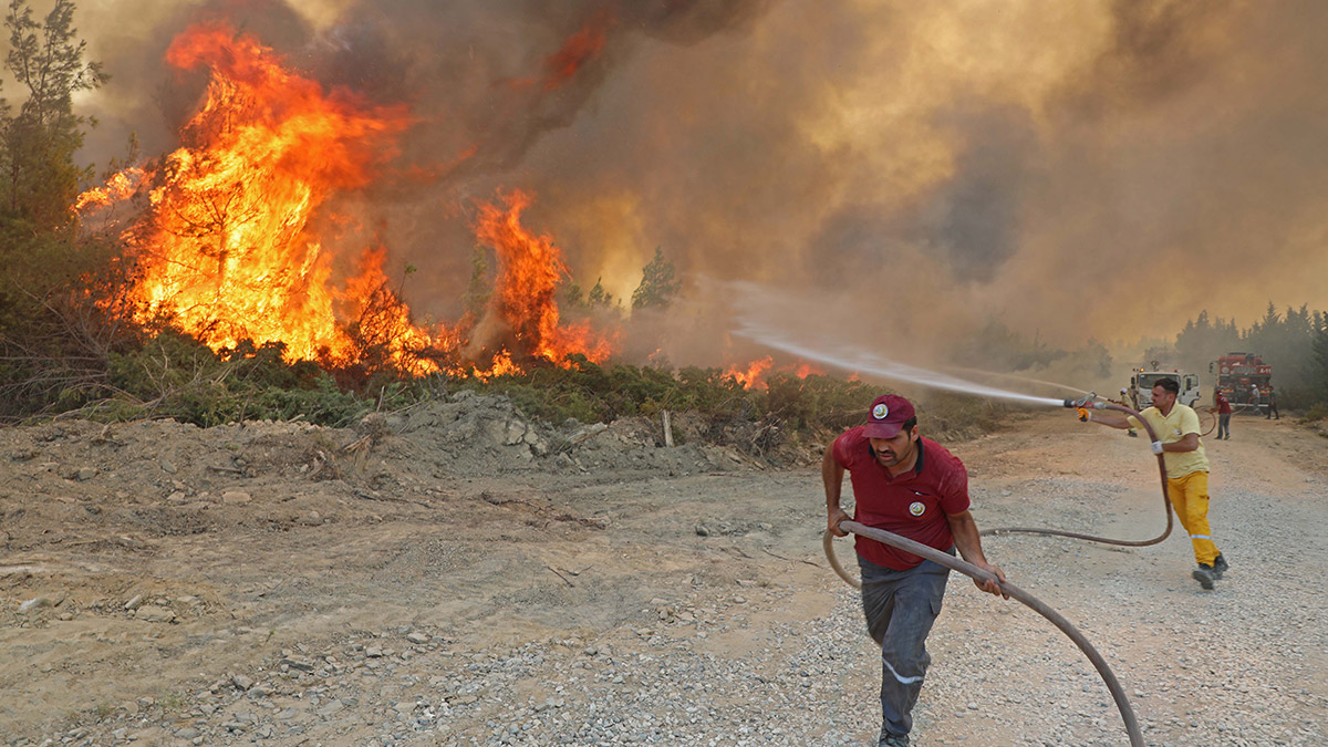 Ankara Valiliği ormanlara girişleri yasakladı