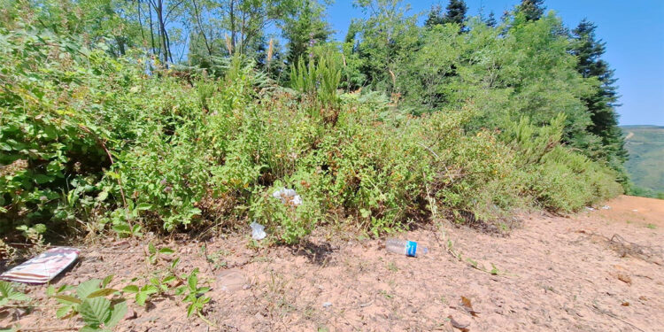 Orman yangınlarına inisiyatifinizle müdahale etmeyin