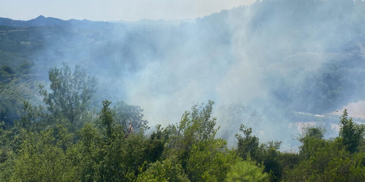 Osmaniye'de orman yangınında 3 dönüm alan yandı
