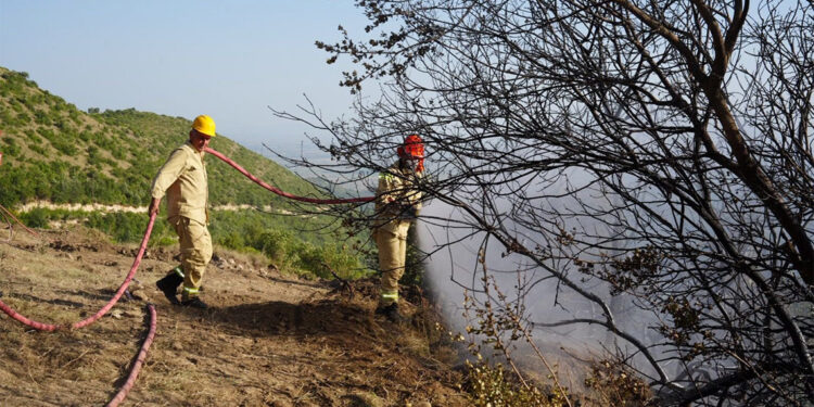 Osmaniye'de 400 dönüm alan zarar gördü