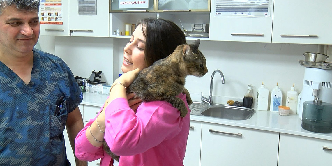 Yaşadığı sağlık sorunları nedeniyle arka ayakları kesilen, 1 buçuk yaşındaki Zeytin implant protez ile sağlığına kavuştu.