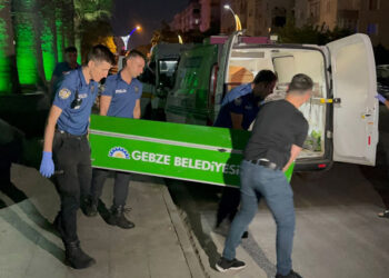 Başından tabanca ile vurulmuş cansız bedeni bulundu