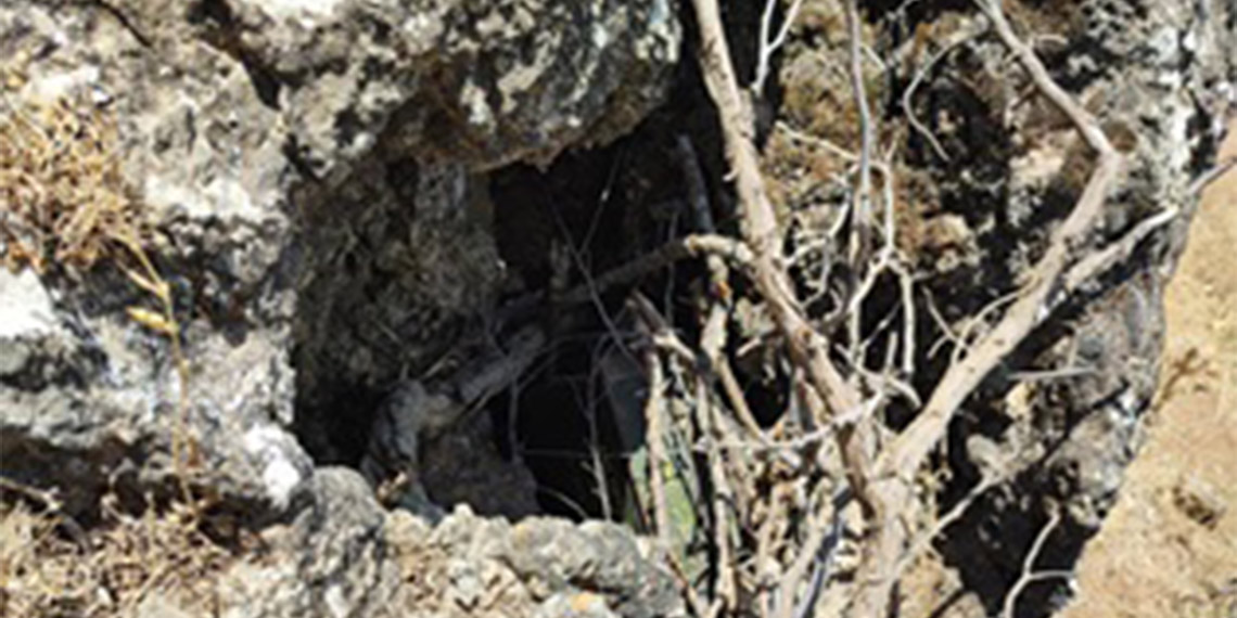 Irak'ın kuzeyinde gerçekleştirilen arama tarama faaliyetinde, PKK'nın sözde Zap eyalet sorumlusunun yakın adamlarından 'Batman Serzan Mava' kod adlı terörist Ferit Yüksel etkisiz hale getirildi. 