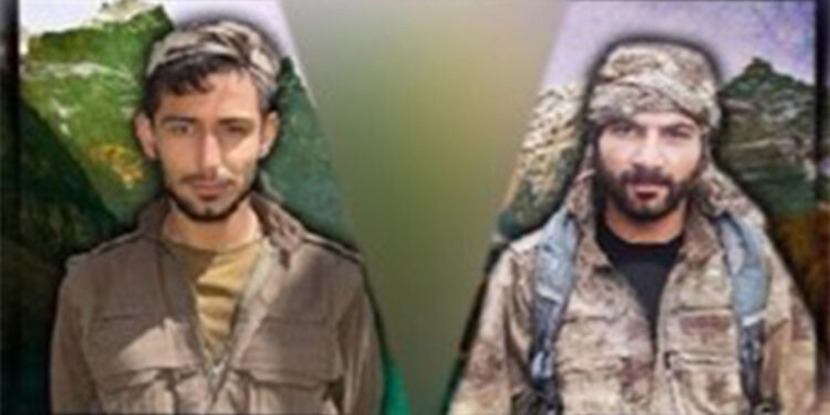 PKK'nın sözde Avaşin eyalet yönetimi üyesi öldürüldü