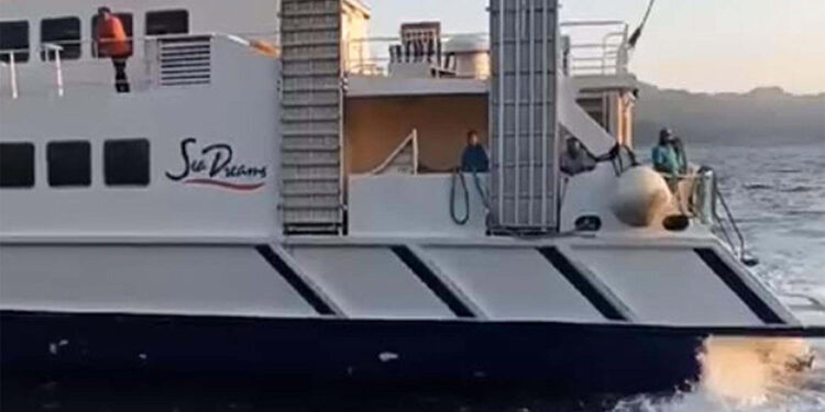 Rodos Adası'ndan tahliye edilen turistler Marmaris'te