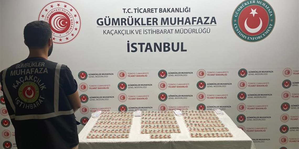 Sabiha Gökçen'de bin 240 adet Karniyol cinsi canlı arı ele geçirildi