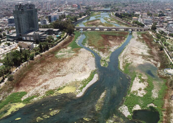 Adana'da manzarasıyla cazibe merkezi özelliği taşıyan Seyhan Nehri bataklığa döndü. Nehrin havzasını 2 metreyi aşan yosunlar, yabani otlar kapladı.