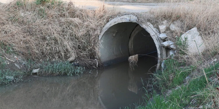 Elmalık Deresi'nden gelen kötü koku rahatsız ediyor