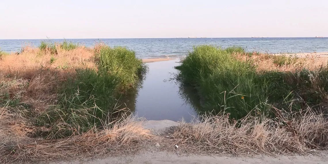 Silivri elmalik deresinde kotu koku ve sinek sikayeti 5663 dhaphoto2 - yaşam - haberton