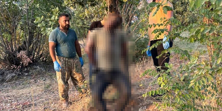 Şırnak'ta işkence görmüş erkek cesedi bulundu