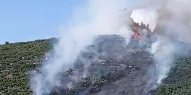 Tarım arazisinde çıkıp ormana sıçrayan yangının nedeni belli oldu