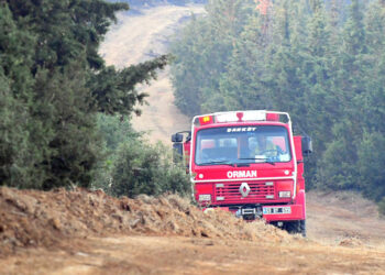 Tekirdağ'daki orman yangını kontrol altına alındı