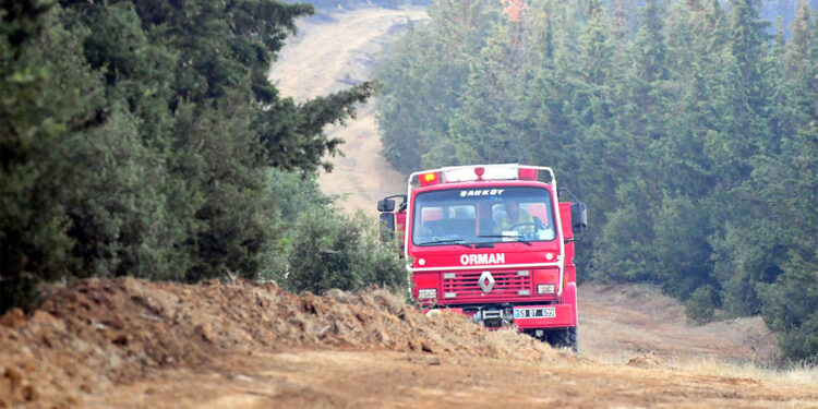 Tekirdağ'daki orman yangını kontrol altına alındı