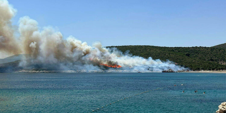 Urla'da çıkan yangının nedeni belli oldu