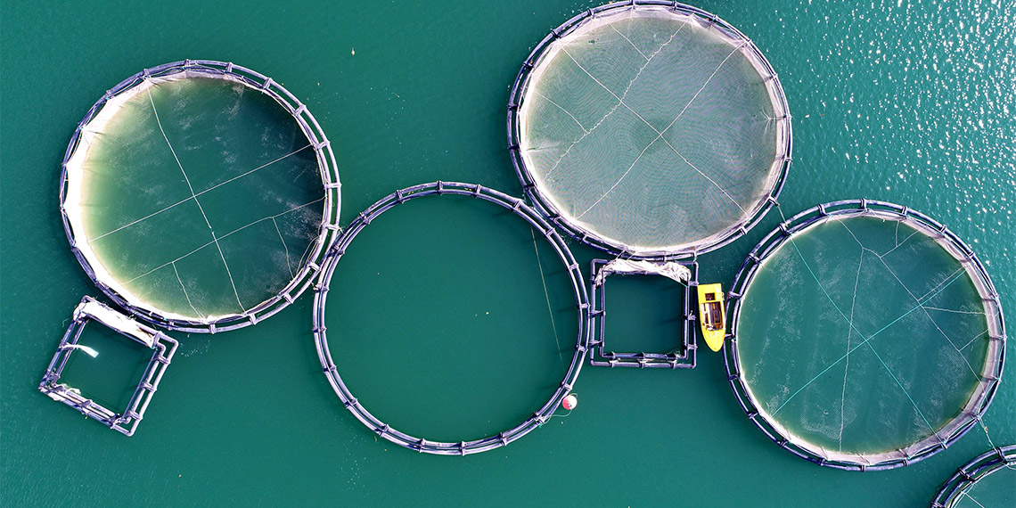 Zernek Baraj Gölü alarm veriyor