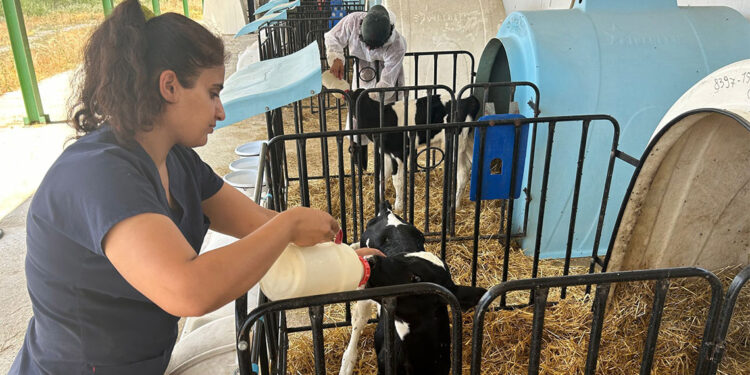 Veterinerlik öğrencilerine uygulamalı eğitim