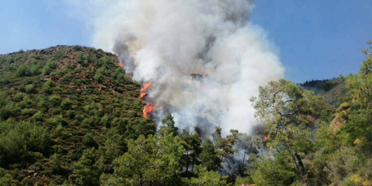Antalya'da orman yangını riski uyarısı