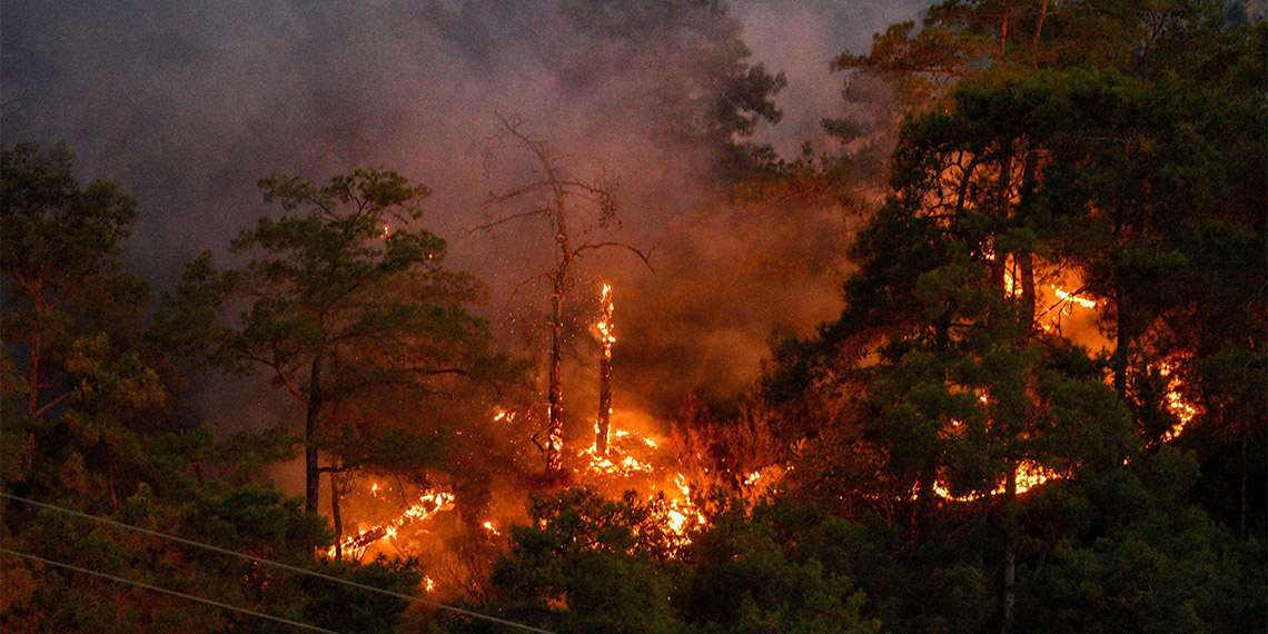 Yangın ekolojisi uzmanı Prof. Dr. Tuncay Neyişçi, "Her geçen 5 saat ya da yanan 400 hektar orman için 1945'te Hiroşima'ya atılan atom bombasına eş değer enerji açığa çıkar. Yangını söndürmek için çalışan herkese Allah kolaylık versin. Bu kadar büyük bir enerjiyle uğraşabilmek kolay değil" dedi.