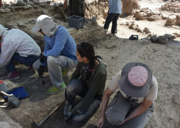 Yeşilova Höyüğü'nde sayı taşı ve taş balta bulundu