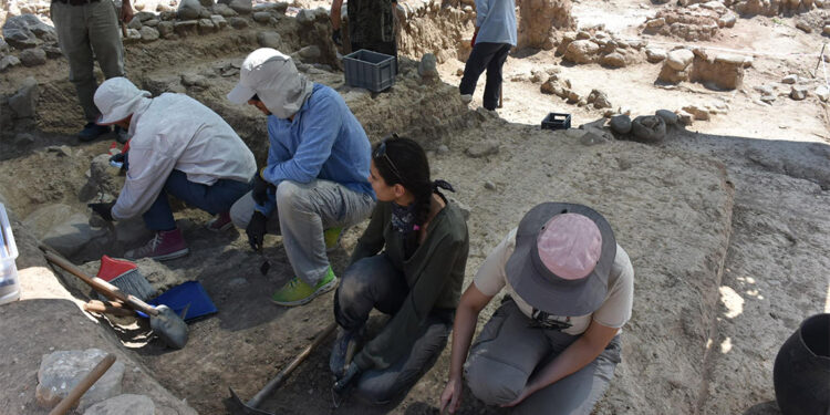 Yeşilova Höyüğü'nde sayı taşı ve taş balta bulundu