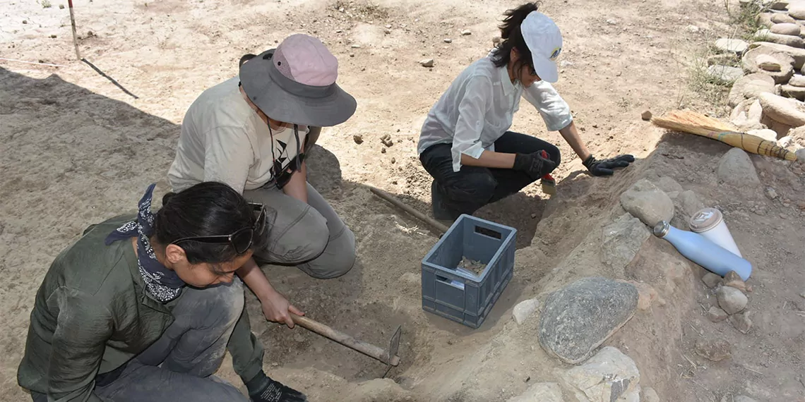 İzmir'in bornova ilçesindeki yeşilova höyüğü'nde yeni sezon kazı çalışmaları başladı, ilk buluntular ise 8 bin yıl öncesine ait sayı taşı ve taş balta oldu.