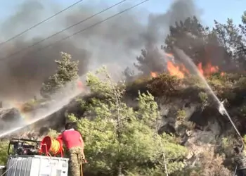 Yunanistan'daki orman yangınına 11 ülke destek veriyor
