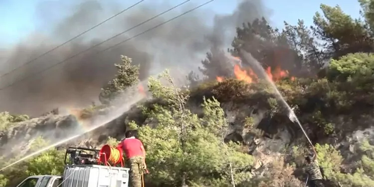 Yunanistan'daki orman yangınına 11 ülke destek veriyor