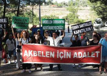 Akbelen Ormanı'nın yok oluş öyküsü; 40 bin ağaç kesildi