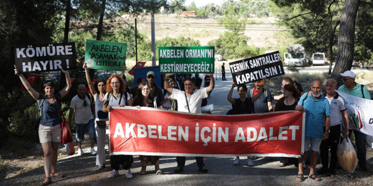 Akbelen Ormanı'nın yok oluş öyküsü; 40 bin ağaç kesildi