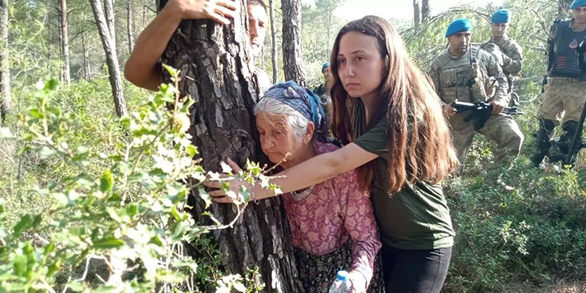 Muğla'nın milas ilçesinde bulunan akbelen ormanı madencilik gerekçesiyle yok edilirken, ağaçların kesilmesine karşı yöre halkı ve desteğe gelen yurttaşların mücadelesi sürüyor.