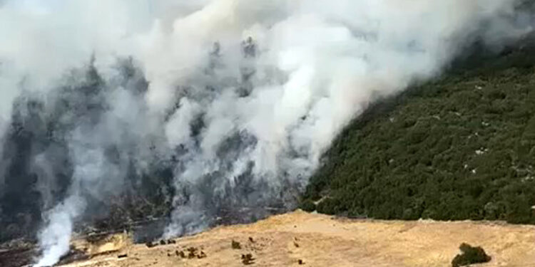 Antalya'nın kaş ilçesinde orman yangını
