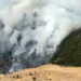 Antalya'nın kaş ilçesinde orman yangını