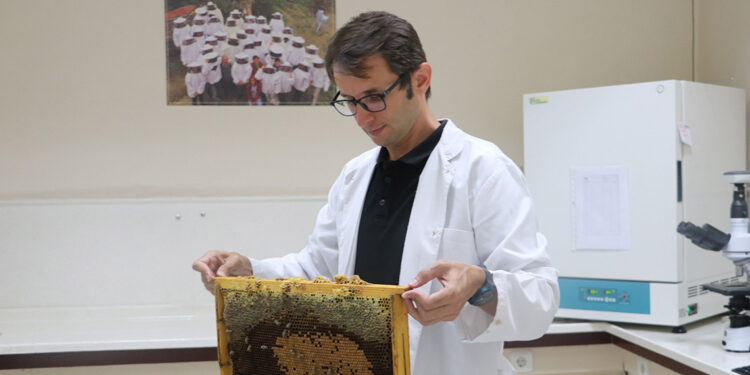 Arı ölümlerine karşı eylem planı hazırlanmalı