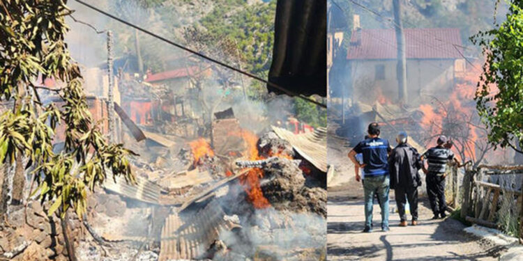Artvin'in Hızarlı Köyü’nde yangın; maddi hasar büyük