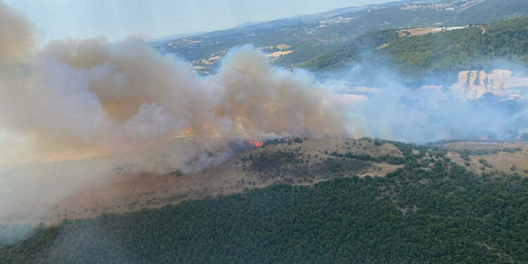 Balıkesir'in Altıeylül ilçesinde orman yangını