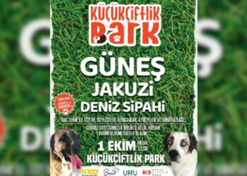 Barınak hayvanları için sahne alacaklar