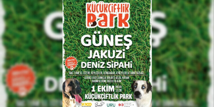 Barınak hayvanları için sahne alacaklar