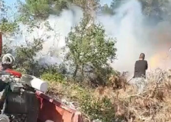 Bilecik'te çıkan orman yangını, kontrol altına alındı