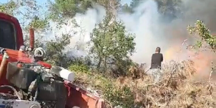 Bilecik'te çıkan orman yangını, kontrol altına alındı