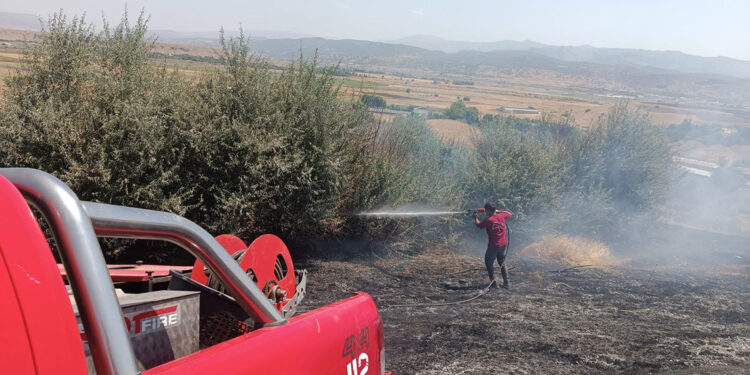 Bingöl'de orman yangını çıktı