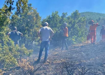 Bingöl'de orman yangını, kontrol altına alındı
