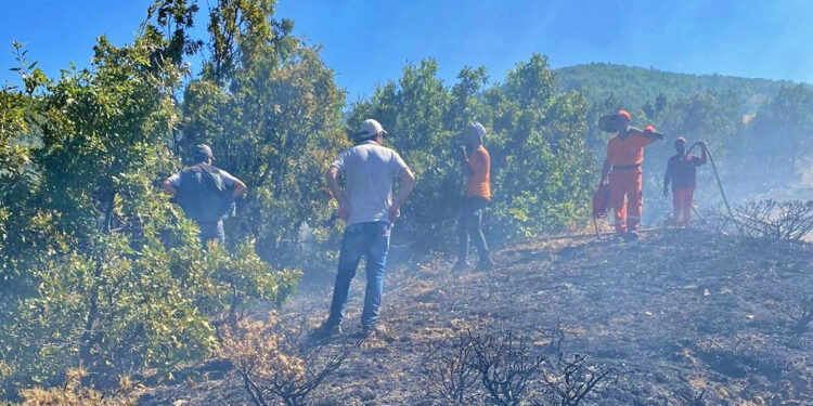 Bingöl'de orman yangını, kontrol altına alındı