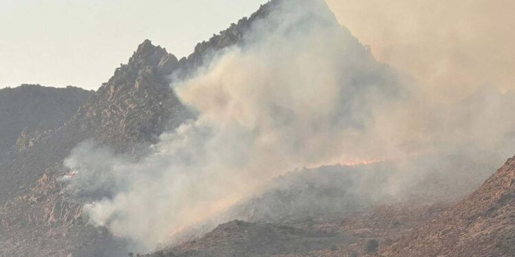 Bodrum'da maki yangını