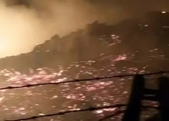 Bodrum'da maki yangınında 15 dönüm alan zarar gördü