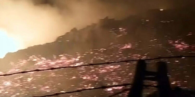 Bodrum'da maki yangınında 15 dönüm alan zarar gördü