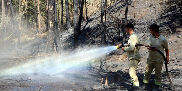 Bolu'da bu yıl orman yangınlarında 150 hektar alan zarar gördü