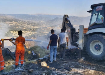 Bolu'nun Bakırlı köyünde 3 farklı noktada yangın çıktı
