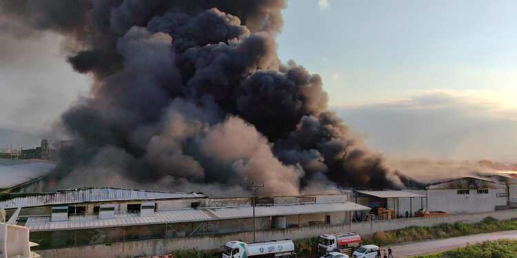 Bursa'da 10 fabrika yanıyor