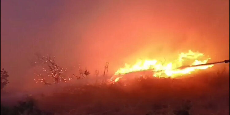 Bursa'daki orman yangını, 19 saatte kontrol altına alındı