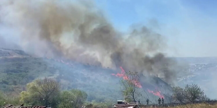 Büyükçekmece'de yol kenarındaki ağaçlarda yangın